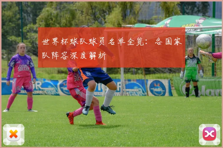 世界杯球队球员名单全览：各国家队阵容深度解析