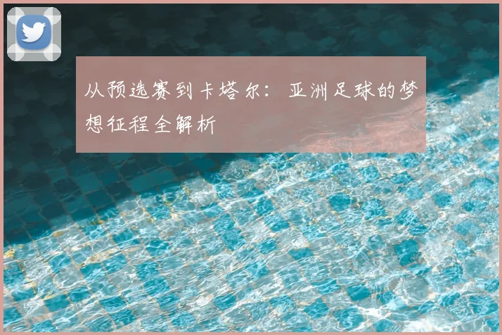 从预选赛到卡塔尔：亚洲足球的梦想征程全解析