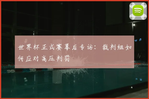 世界杯正式赛幕后专访：裁判组如何应对高压判罚